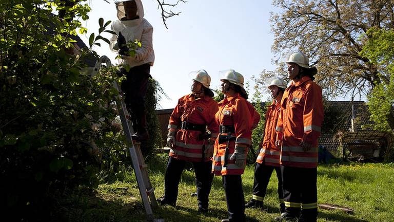 Rosi, die Imkerin, setzt ein Bienennest um, der Feuerwehrtrupp sieht dabei zu