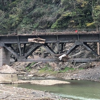 Das Hochwasser an der Ahr war an manchen Stellen bis zu acht Meter hoch. Hier stieg es bis zum Geländer der Eisenbahnbrücke.