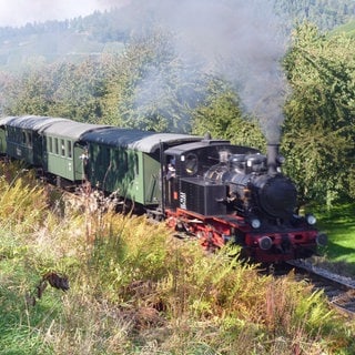 Die Achertalbahn auf der Strecke vor Kappelrodeck. An manchen Sonntagen fahren bis zu 1.000 Fahrgäste durch die Ortenau. Für sie ist der Dampfzug ein Star.