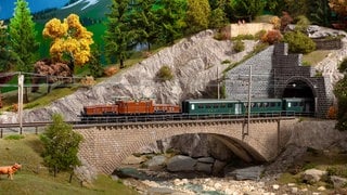 Elektrolokomotive Serie Ce 68 II „Krokodil mit Leichtstahlwagen der SBB in H0 (1:87)