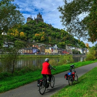 Fahrradfahreer auf dem Moselradweg bei Cochern