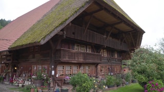 Bachbauernhof in Gutach