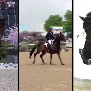 Olympia-Sieger Michael Jung aus Horb am Neckar lebt für seine Familie und den Reitsport