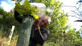 Klaus Haller aus Heidelberg pflanzt einen Baum.