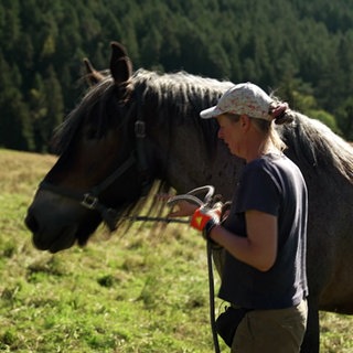 Auf dem Windberghof im Schwarzwald wird das Holz mit dem Pferd geholt. Eine Frau führt ein Pferd.