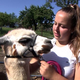 Sarah Jetter mit einem ihrer Alpakas