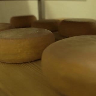 Käse