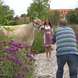 Braunviehköniginnen-Fotoshooting