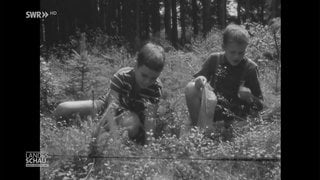 Kinder spielen in der Nautr