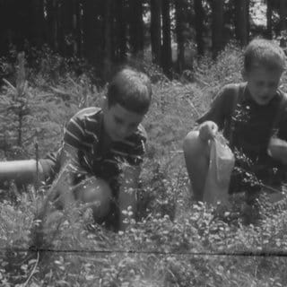 Kinder spielen in der Nautr