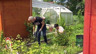 Schrebergarten auf dem Gelände der Landesgartenschau in Wangen