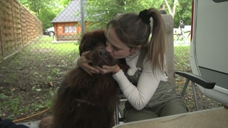 Sarah und Bow kuscheln aufm Campingplatz