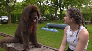 Ein Hund und eine junge Frau