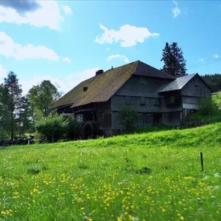 Der Schindlerhof in Lenzkirch