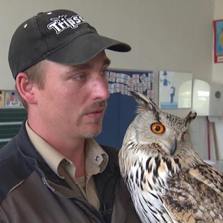 Benedict Stirblies und der Uhu Marsha