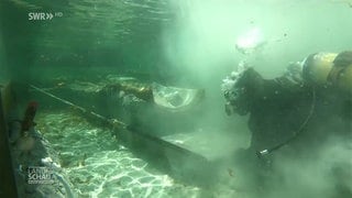 Taucher im Bodensee mit einem Einbaum