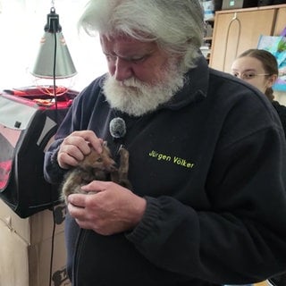 Jürgen Völker mit einem jungen Fuchs