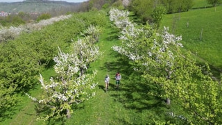 Streuobstwiesen-Berater auf dem Weg die Obstbäume zu kontrollieren.