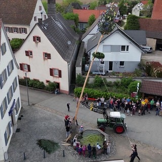 ein Maibaum wird aufgestellt