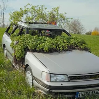 ein altes Auto als Blumenbeet