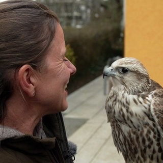 Falknerin Elke Rogge und ihr Falke Smilla