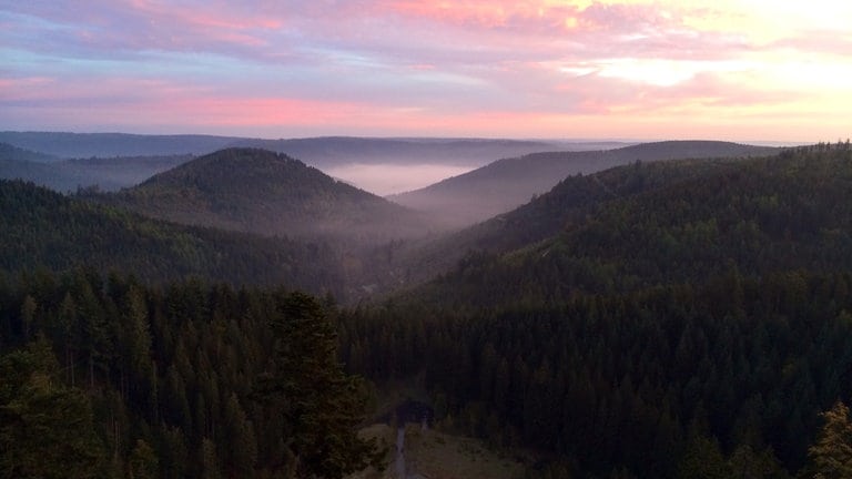 Morgendämmerung im Schwarzwald: Wetterreporter Thomas Miltner ist heute in Bad Peterstal-Griesbach.