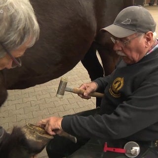 Hufschmied Hans-Peter Schmid