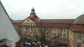 KI soll Krähen-Problem an Ludwigsburger Schule lösen