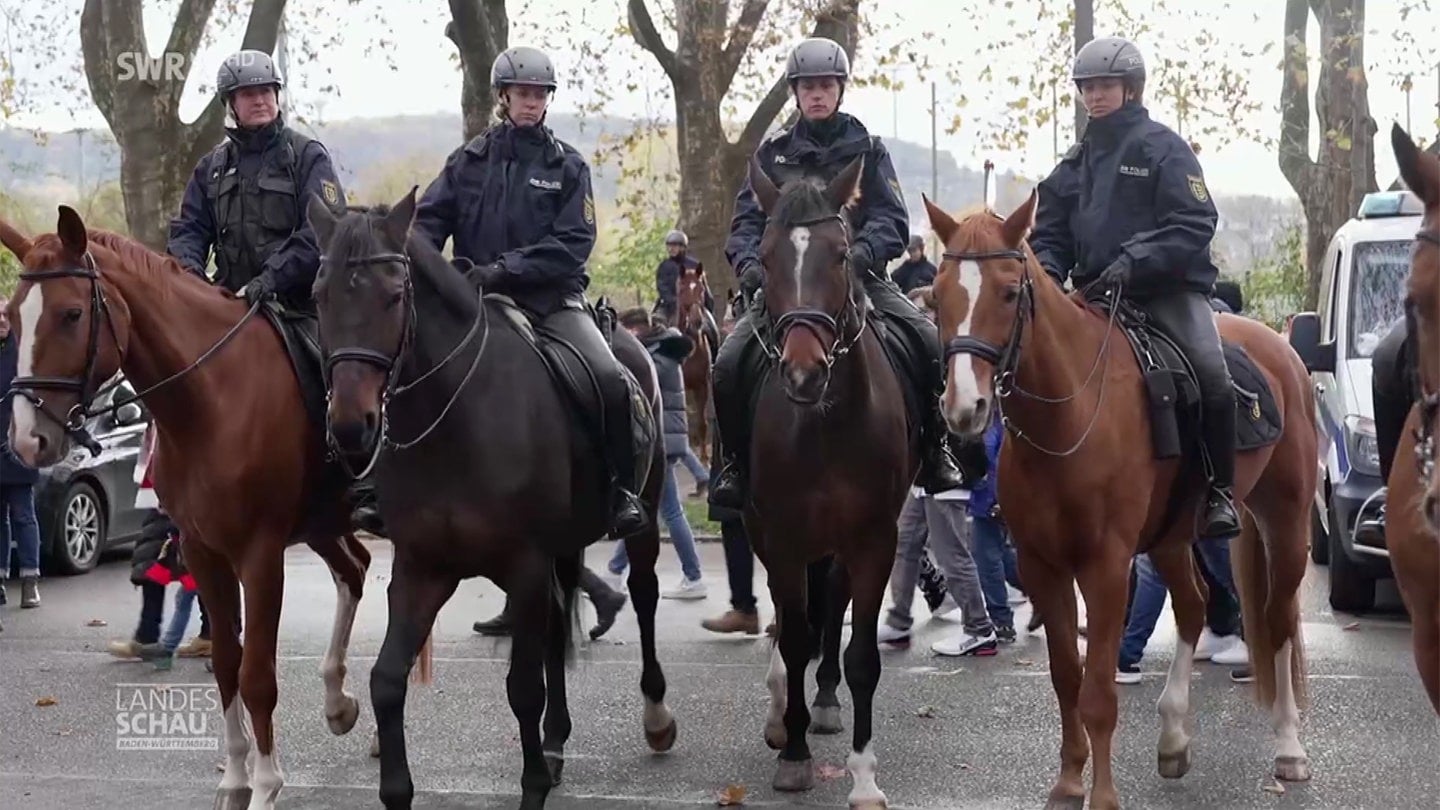 Polizei-Pferdestaffel