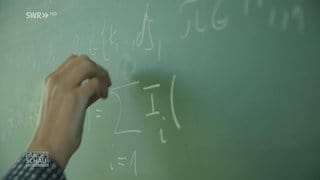 Die Mathematiker aus Oberwolfach