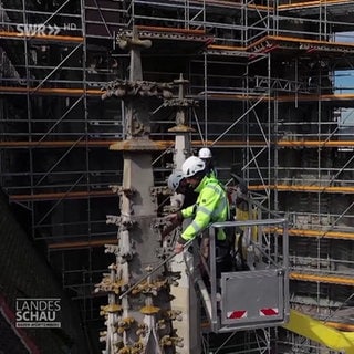 Die Steinmetze vom Ulmer Münster