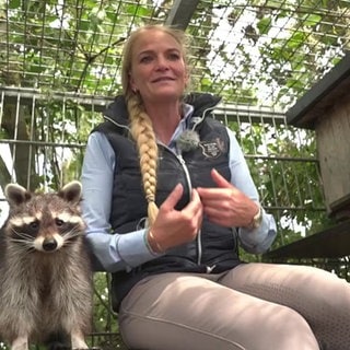 Yvonne Gutsche mit Waschbär