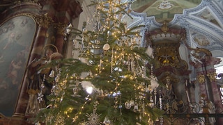 Christbaum in der Marienkapelle in Isny