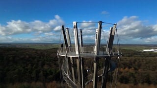 Der Schönbuchturm im Wald ist von oben zu sehen. 