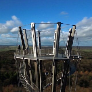 Der Schönbuchturm im Wald ist von oben zu sehen. 