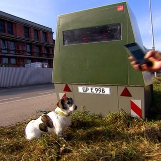 Vor einem mobilen Blitzer in Eislingen sitzt ein Hund