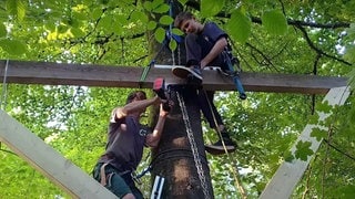 Zwei junge Männer sitzen in einem Baum und arbeiten am Baumhaus 