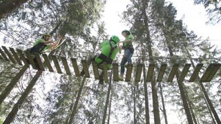 Touristen am Baumklettern