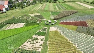 Ein Garten für Heilkräuter