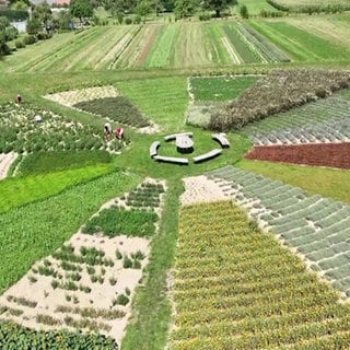 Ein Garten für Heilkräuter