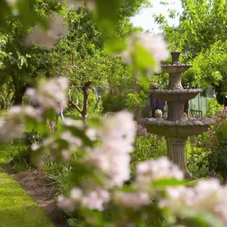 Exotischer Garten