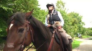 Pferd mit Reiterin und Katze