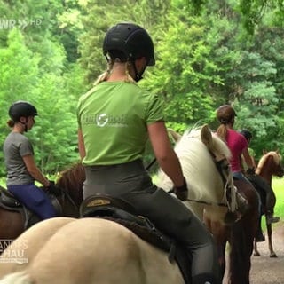 Kinder reiten auf Ponys