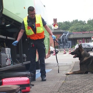 Ein Zollbeamter mit Warnweste und seinem Schäferhund kontrolliert einen Reisebus