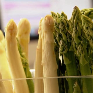 Spargel