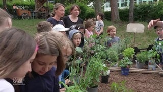 Hochbeete für den Schulgarten