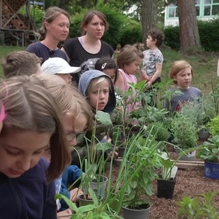 Hochbeete für den Schulgarten