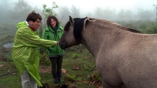 Sonja Faber-Schrecklein und Friederike Schneider streicheln Pferd