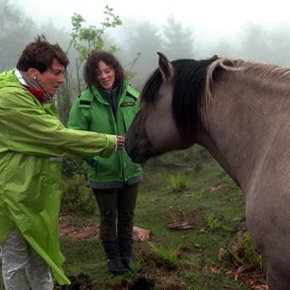 Sonja Faber-Schrecklein und Friederike Schneider streicheln Pferd