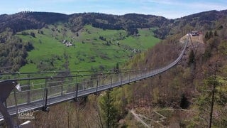 Hängebrücke in Todtnauberg